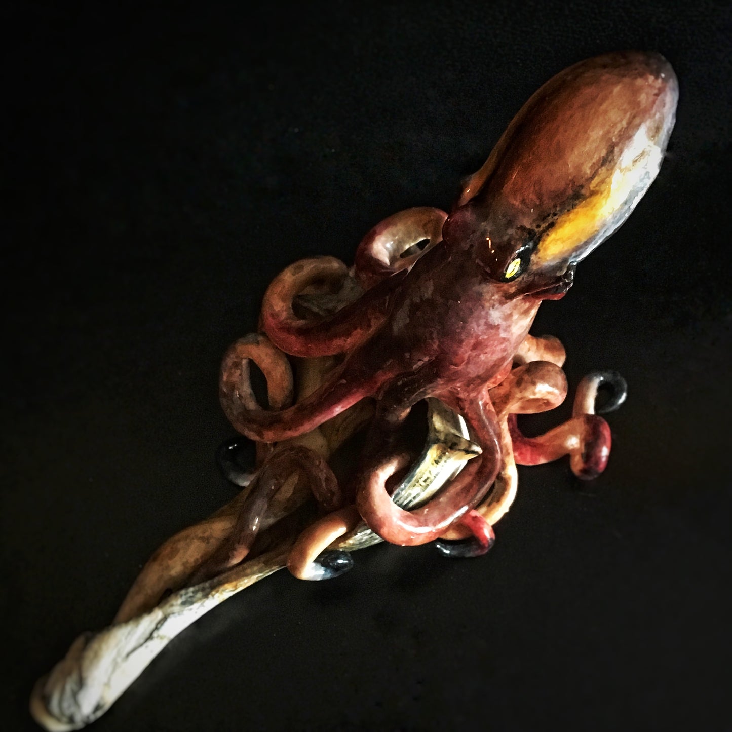 Octopus with a Conch Seashell