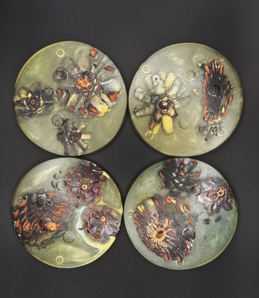 4 Green Pinecone Non-stick, No-slip Coasters