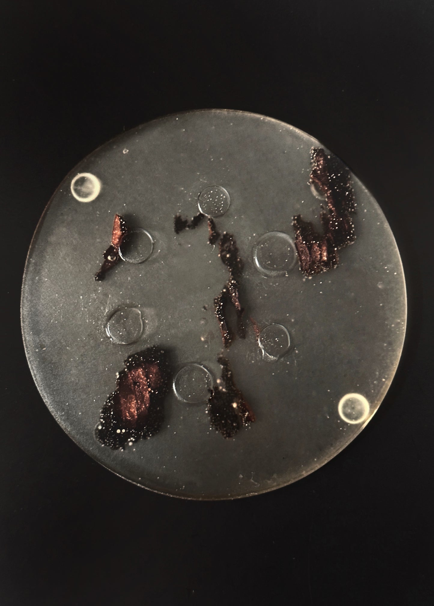 4 Wood Non-stick, No-slip Coasters