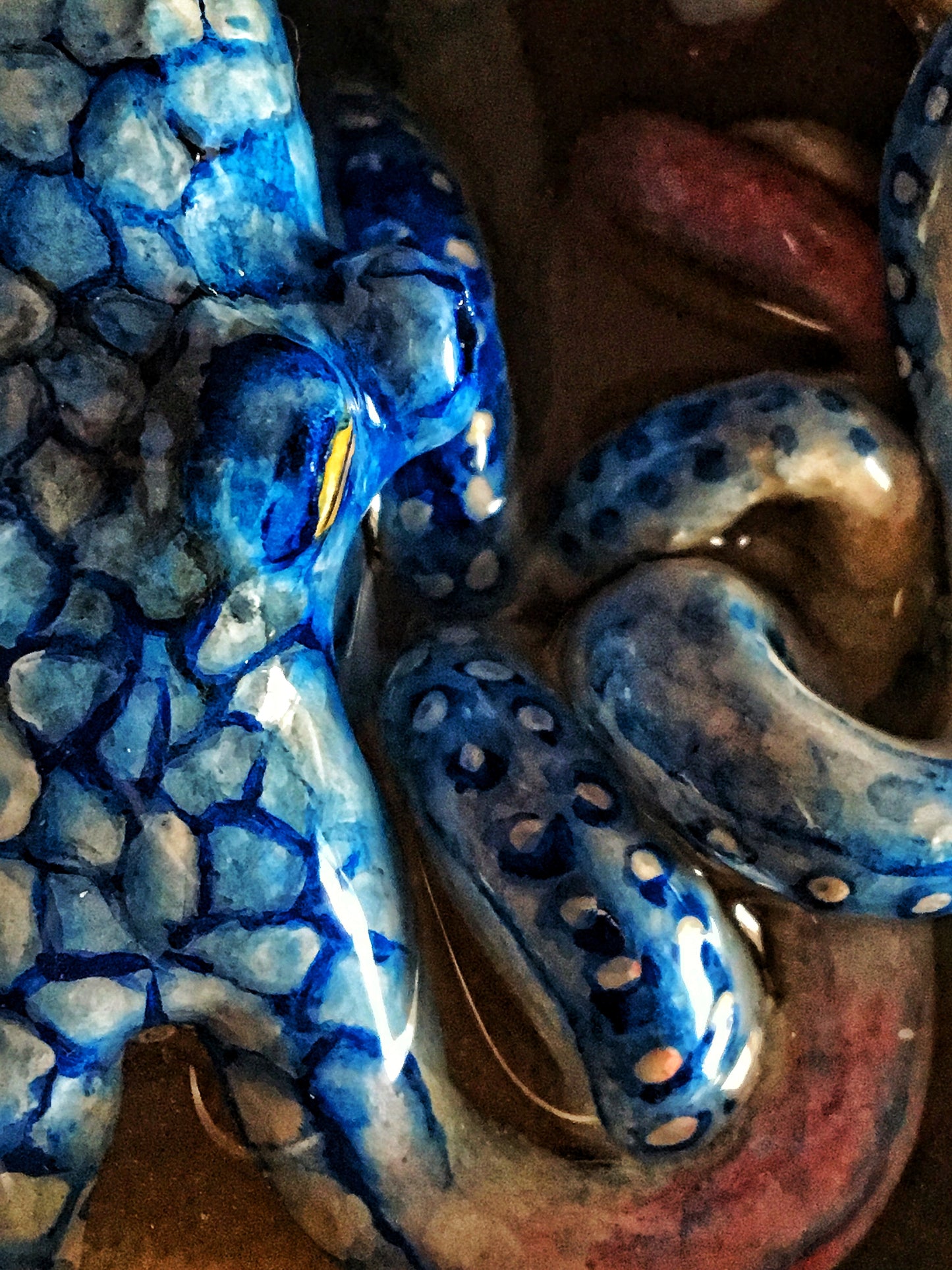 Blue Octopus