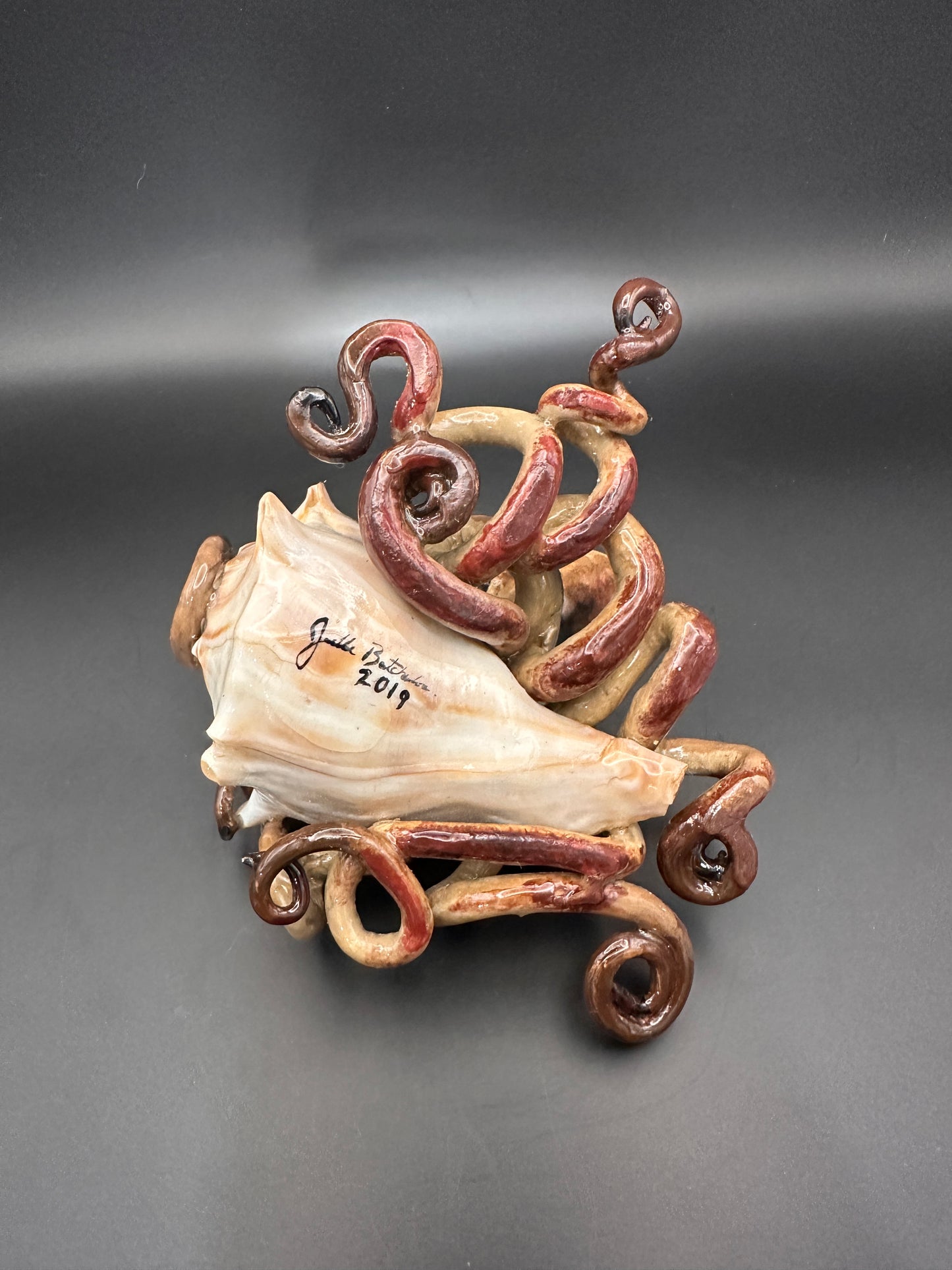 Octopus and the Shell