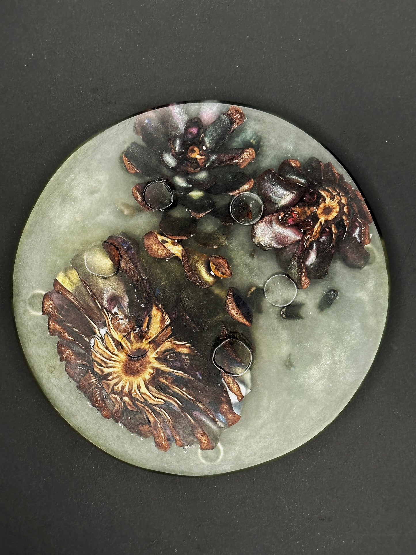 4 Green Pinecone Non-stick, No-slip Coasters
