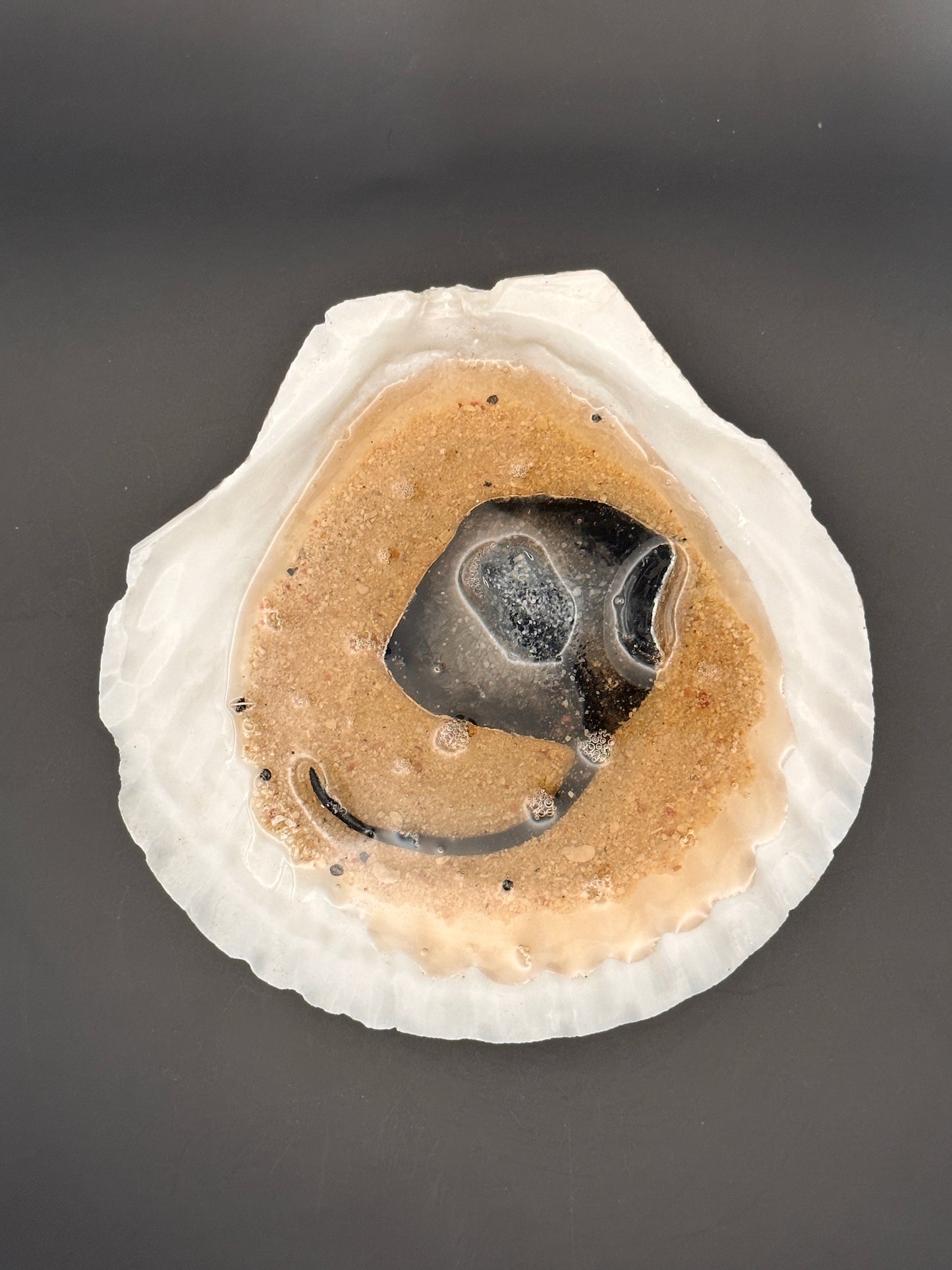 Stingray in a Scalloped shell