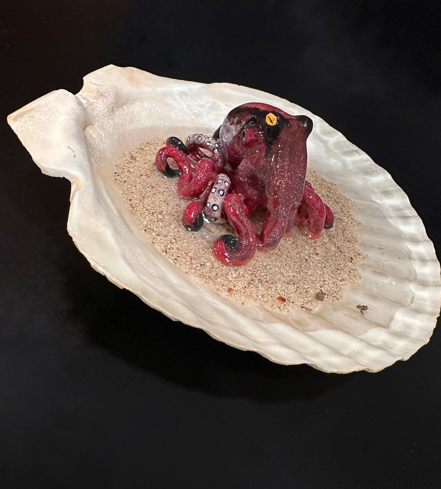 Octopus in a Scalloped Shell