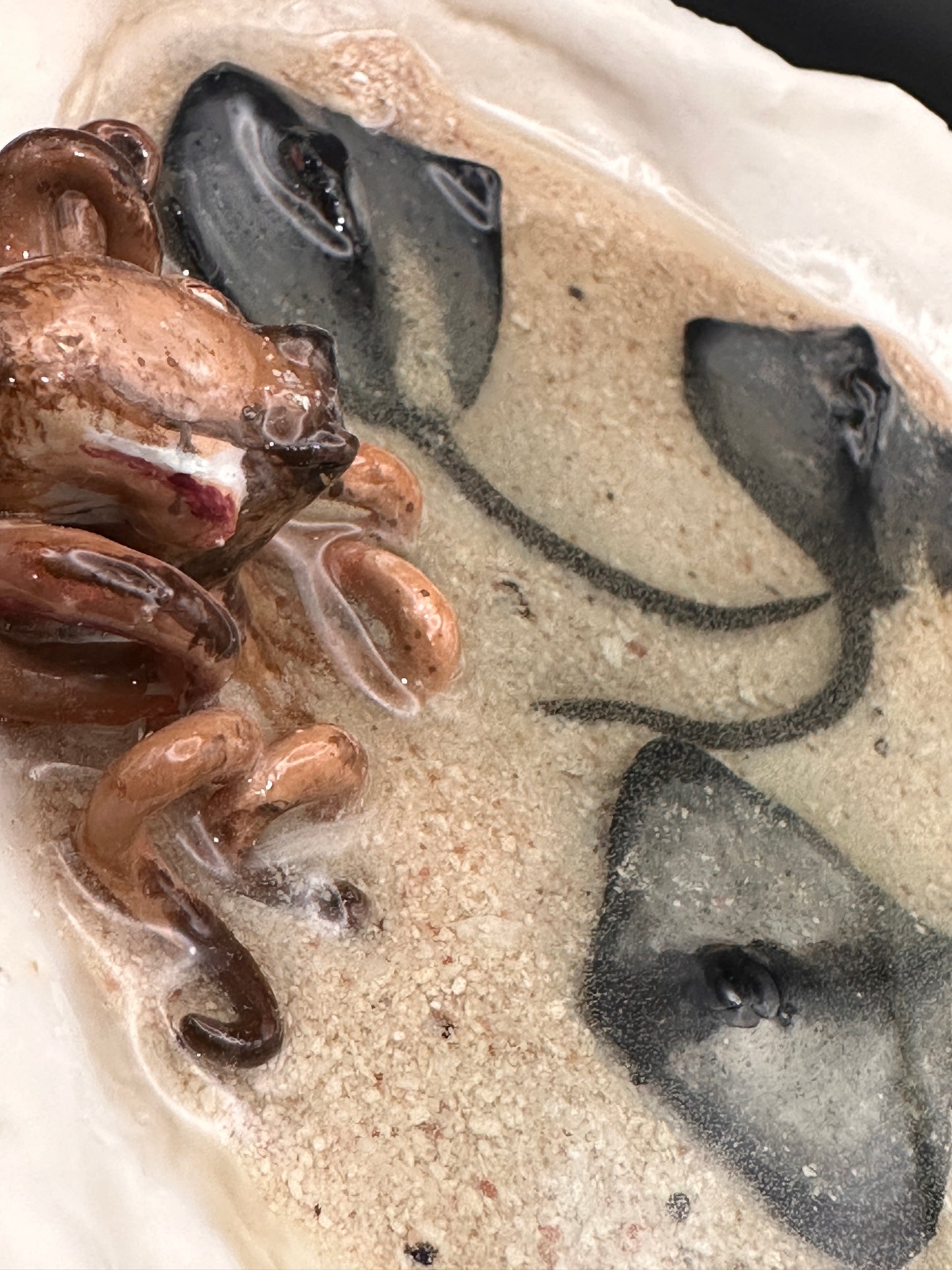 The Octopus and the Three Stingrays