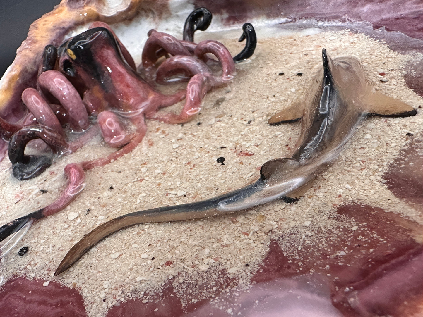 The Octopus and the Shark