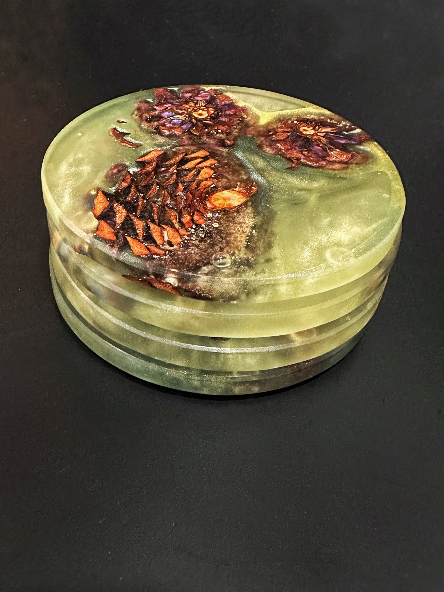 4 Green Pinecone Non-stick, No-slip Coasters