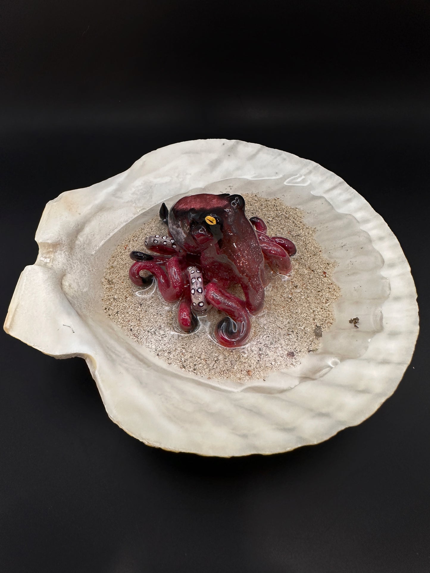 Octopus in a Scalloped Shell