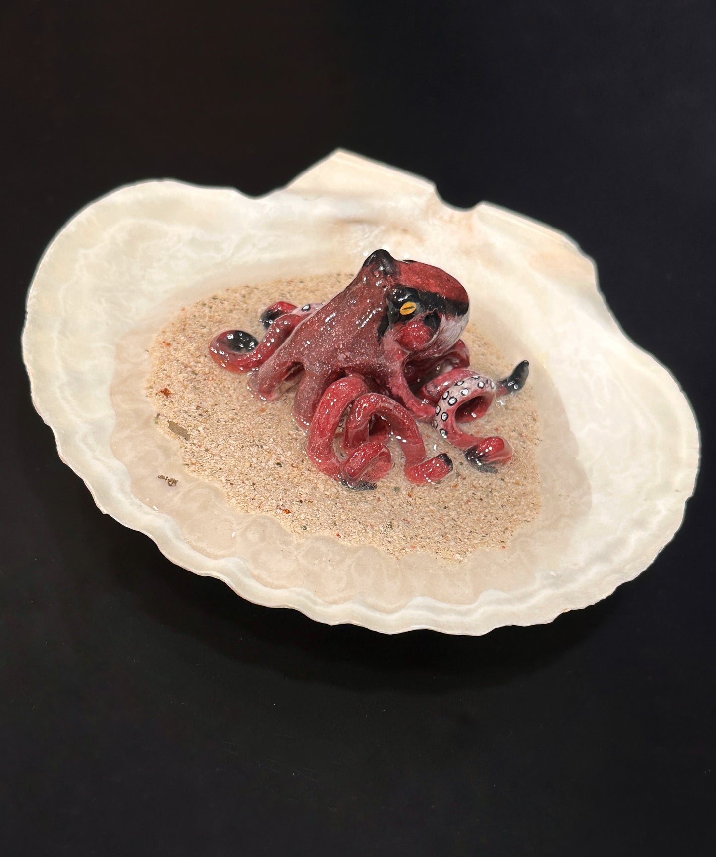 Octopus in a Scalloped Shell