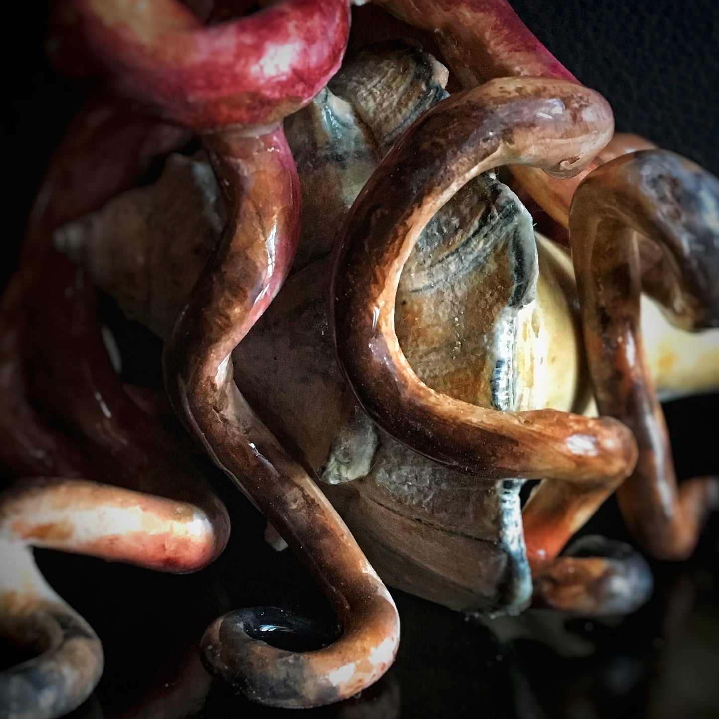 Octopus with a Conch Seashell