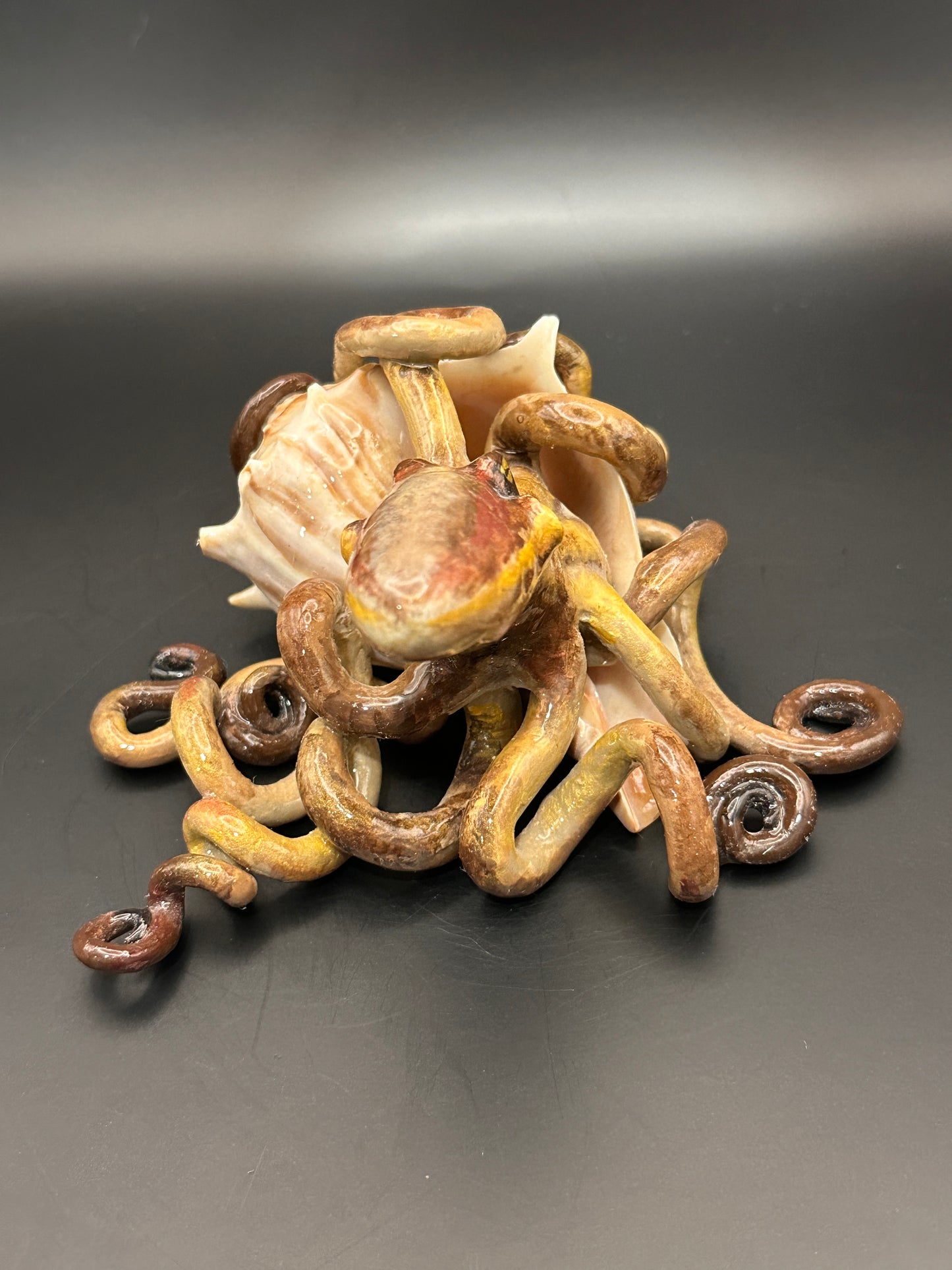 Octopus and the Shell
