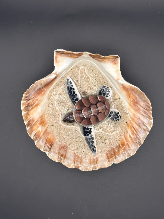 Sea turtle in a Shell