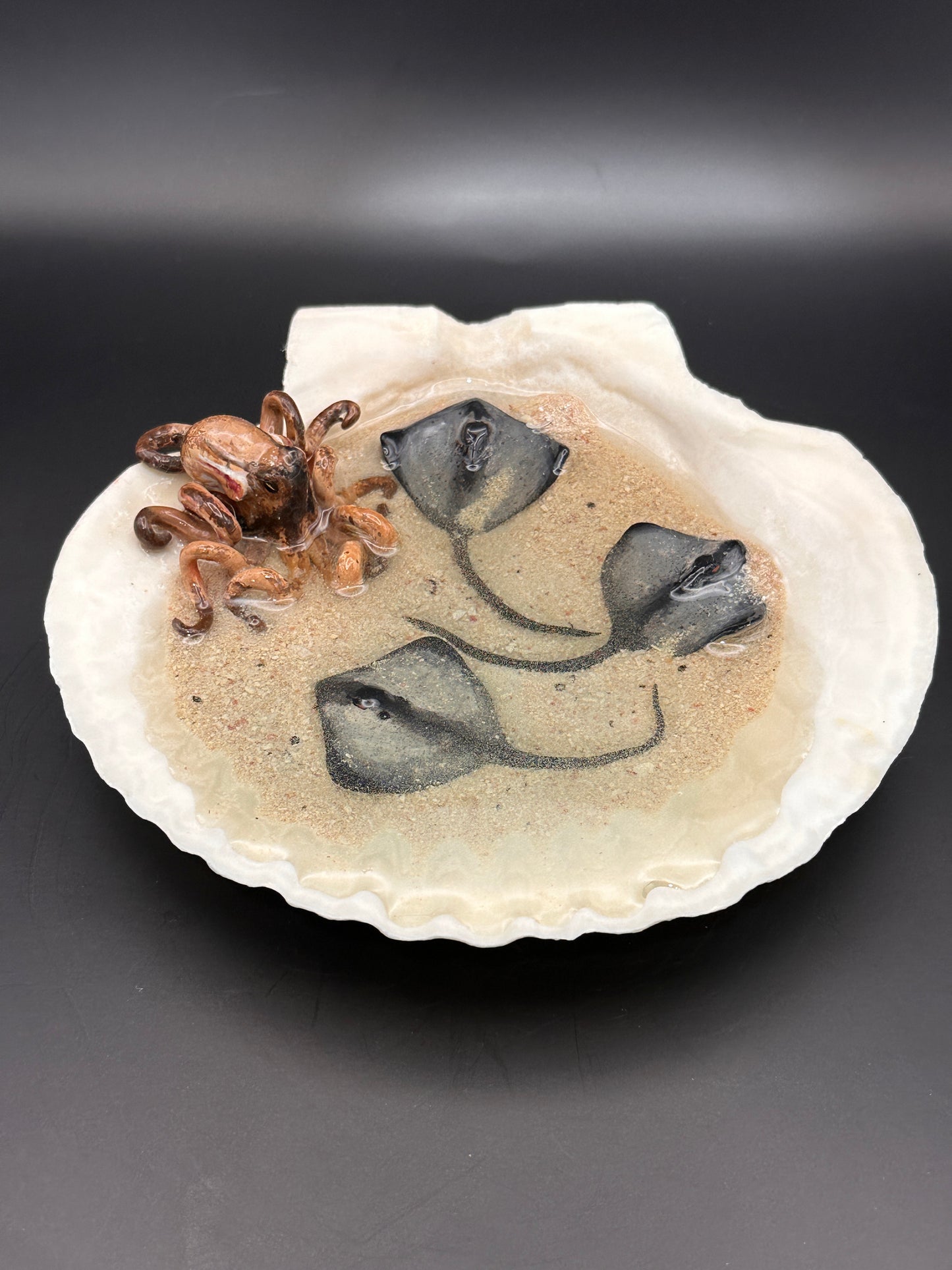 The Octopus and the Three Stingrays