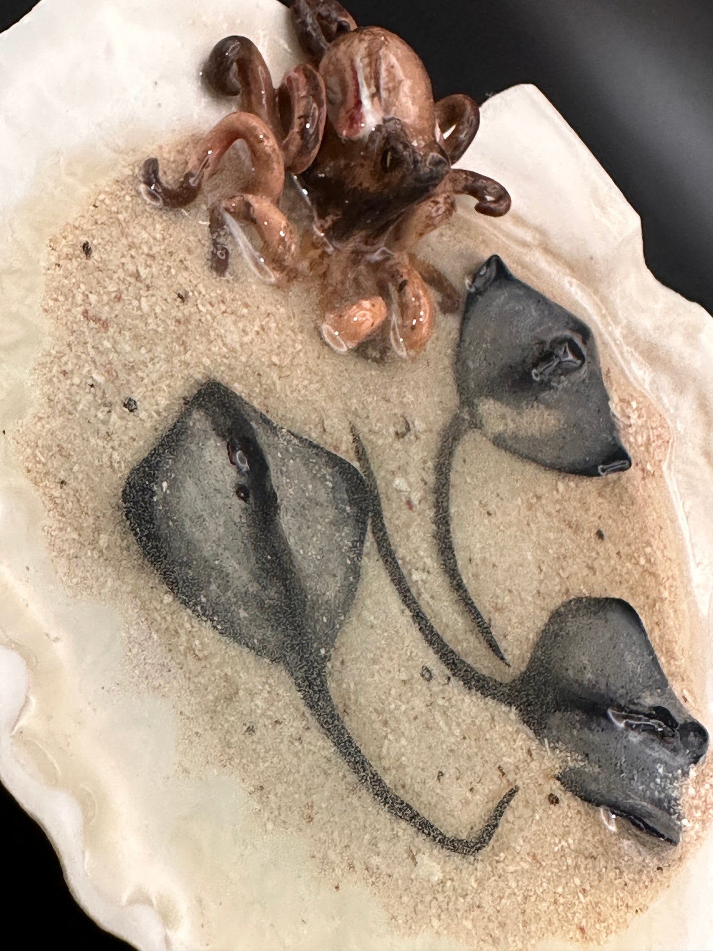 The Octopus and the Three Stingrays