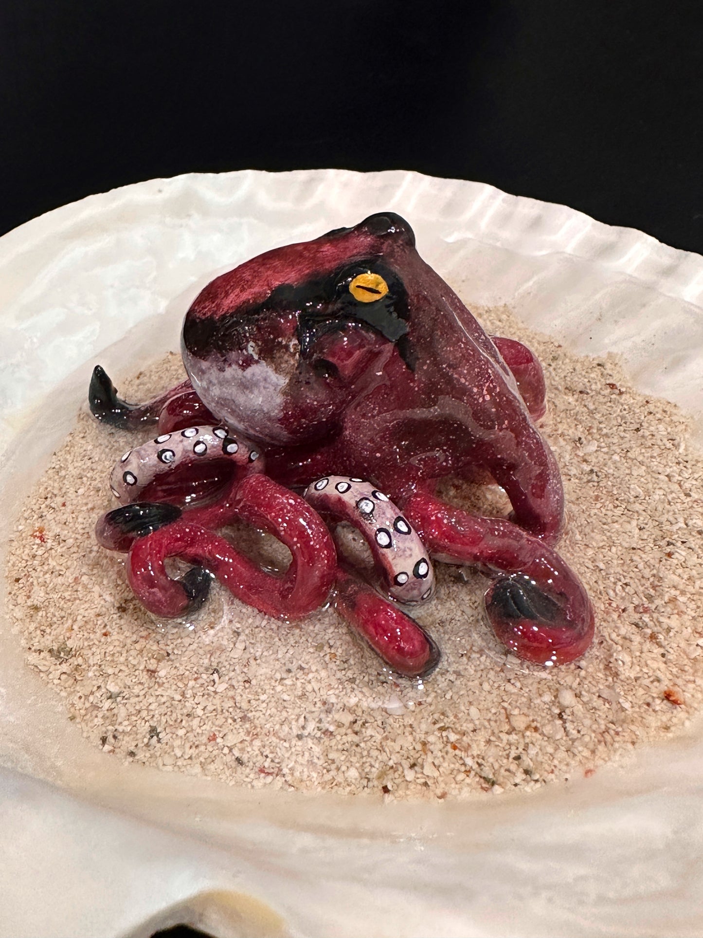 Octopus in a Scalloped Shell