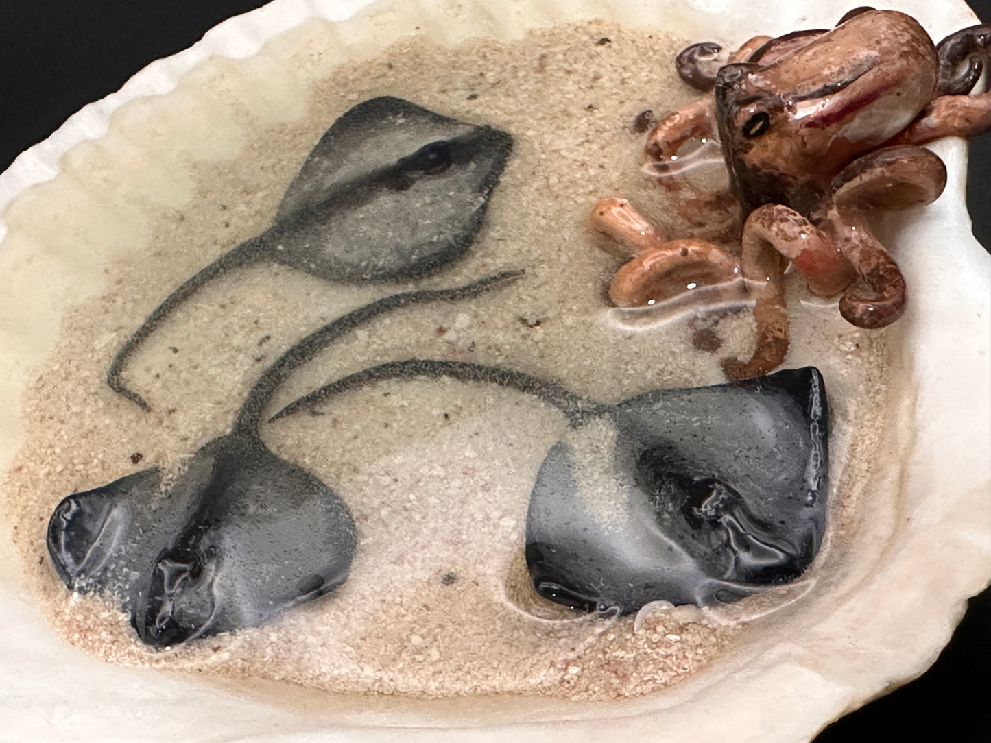 The Octopus and the Three Stingrays
