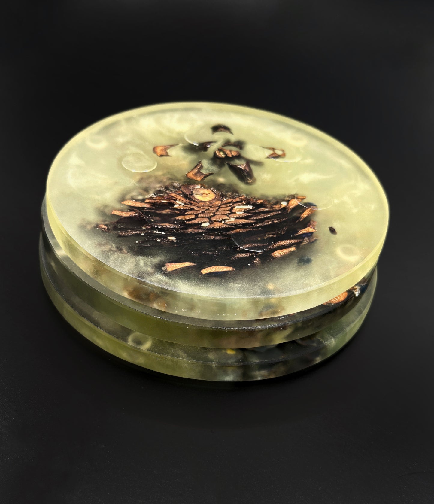 3 Green Pinecone Non-stick, No-slip Coasters