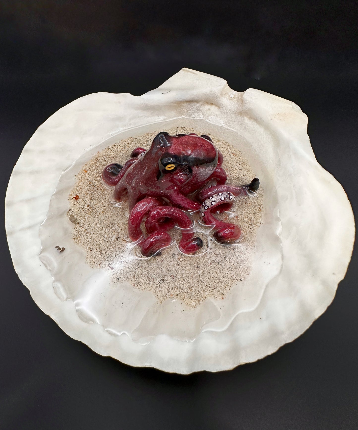 Octopus in a Scalloped Shell