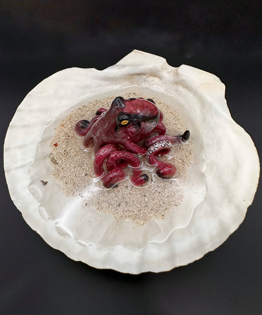 Octopus in a Scalloped Shell