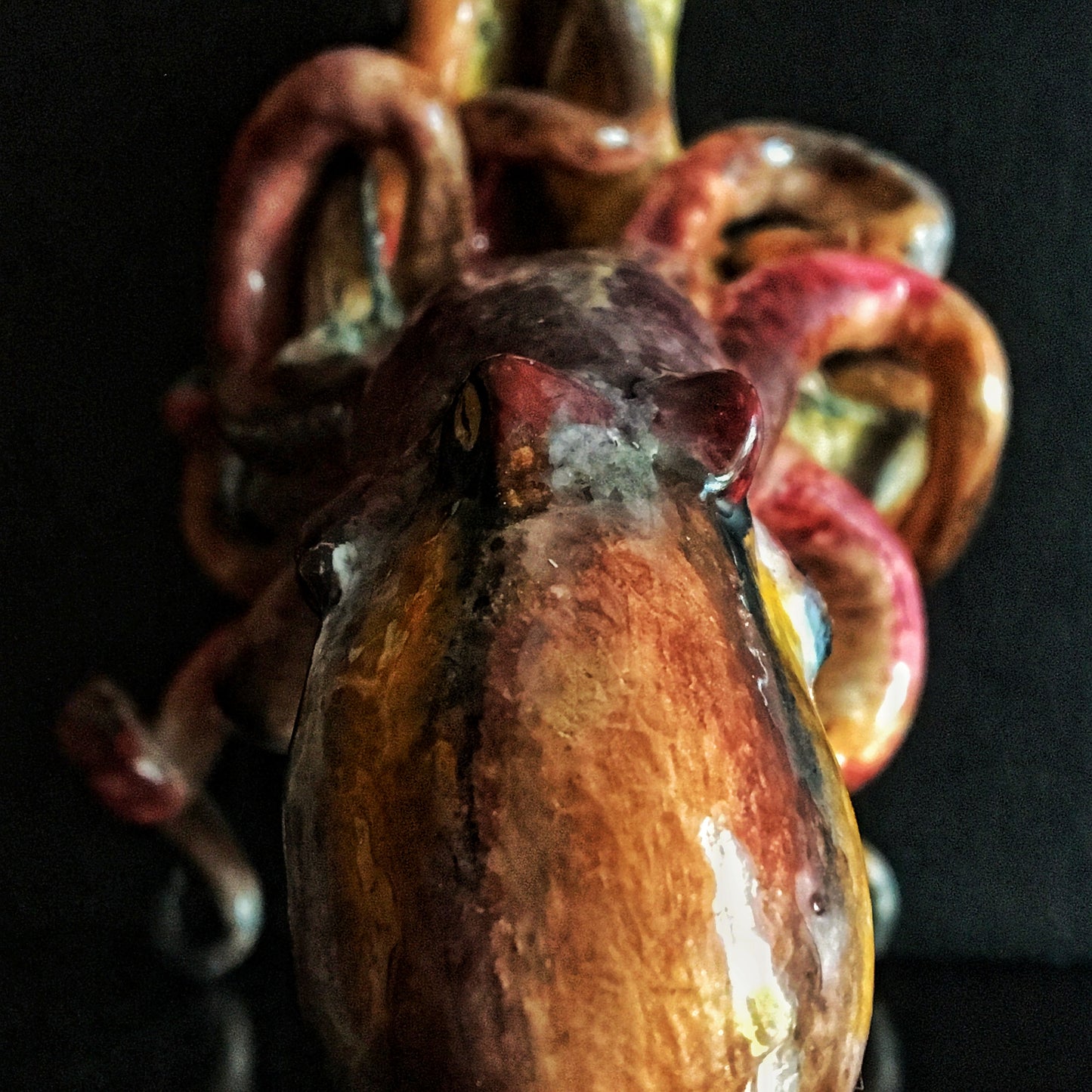 Octopus with a Conch Seashell