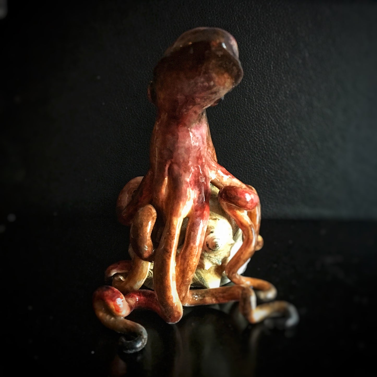 Octopus with a Conch Seashell