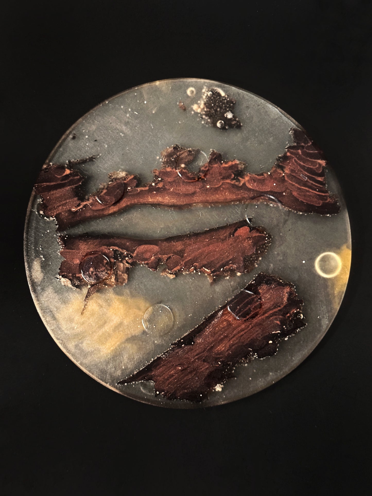 4 Wood Non-stick, No-slip Coasters