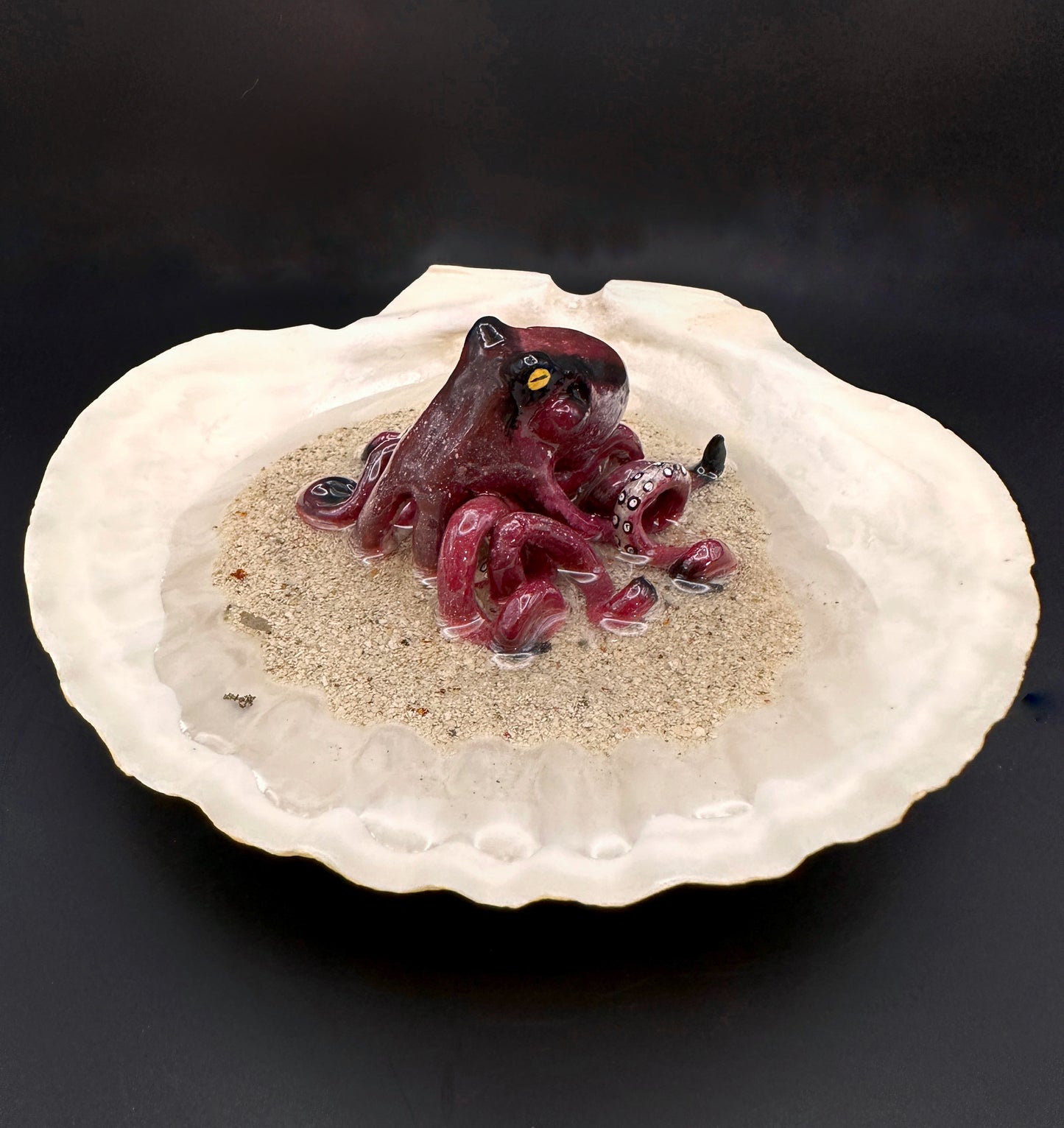 Octopus in a Scalloped Shell