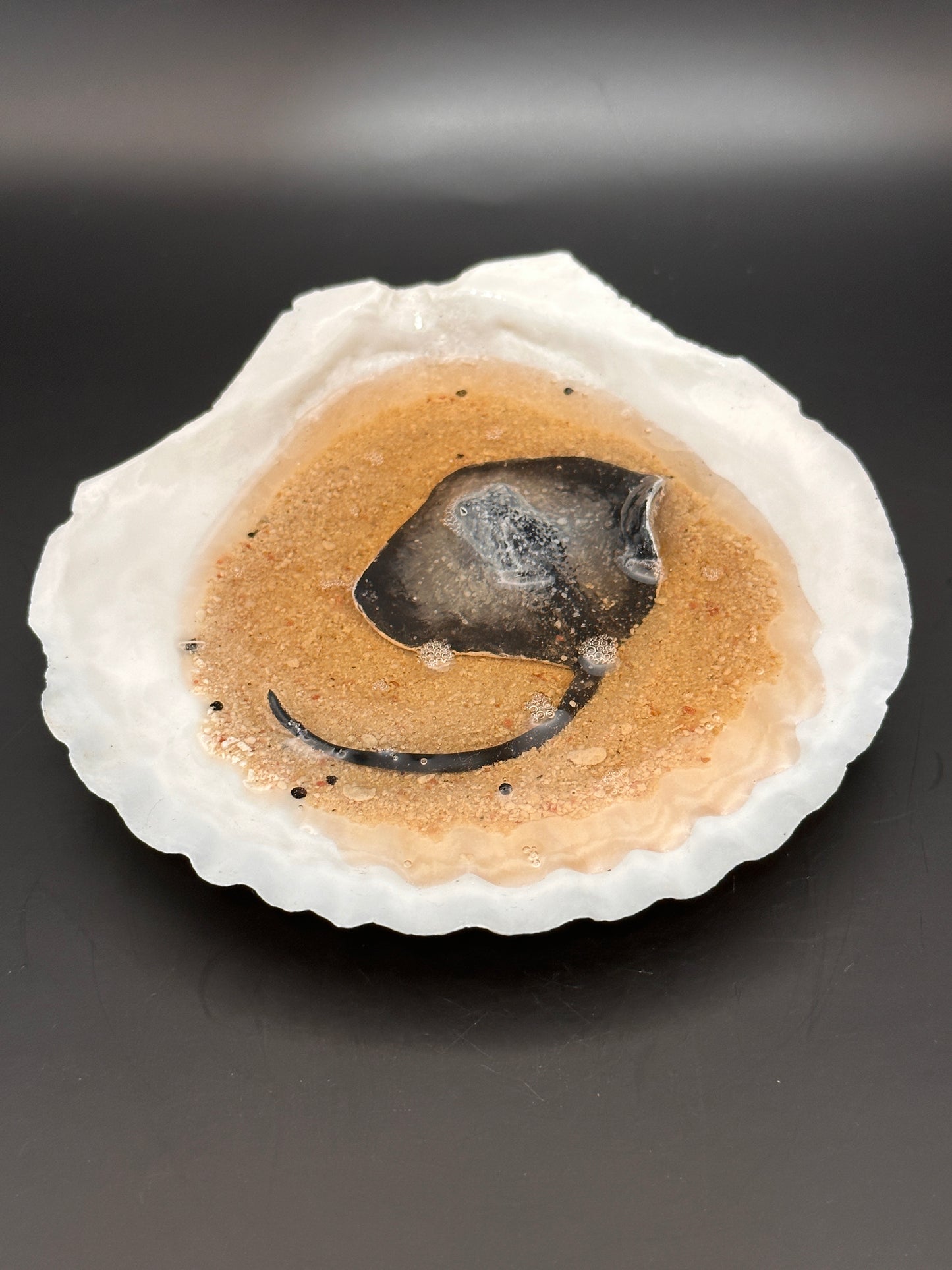 Stingray in a Scalloped shell