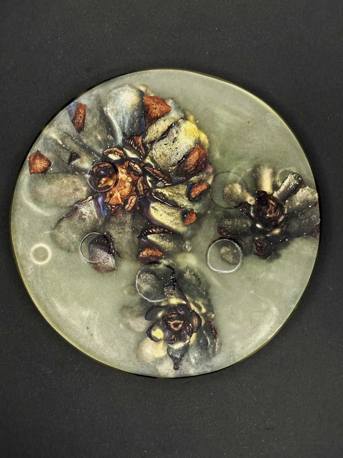 4 Green Pinecone Non-stick, No-slip Coasters