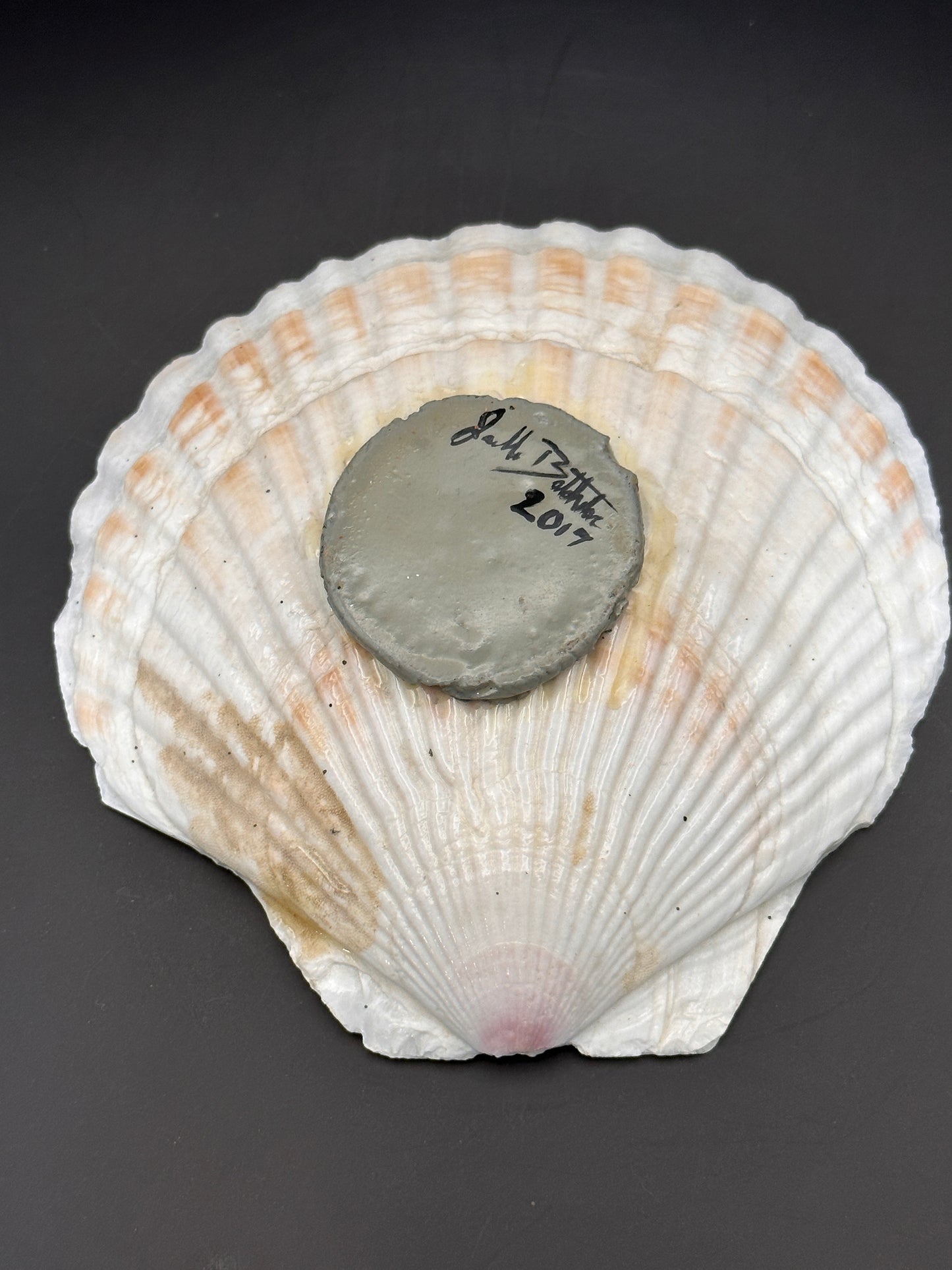 Stingray in a Scalloped shell
