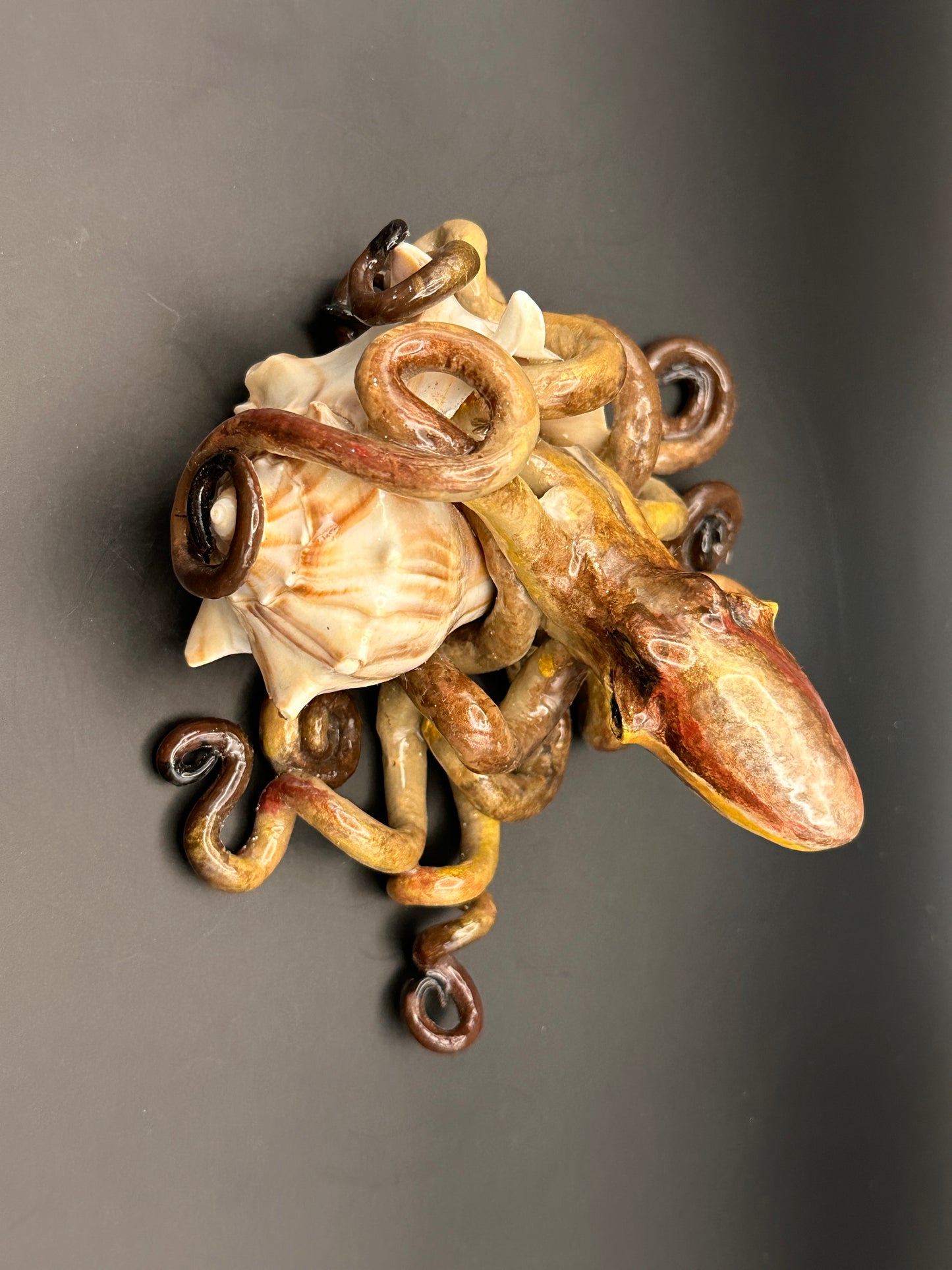 Octopus and the Shell