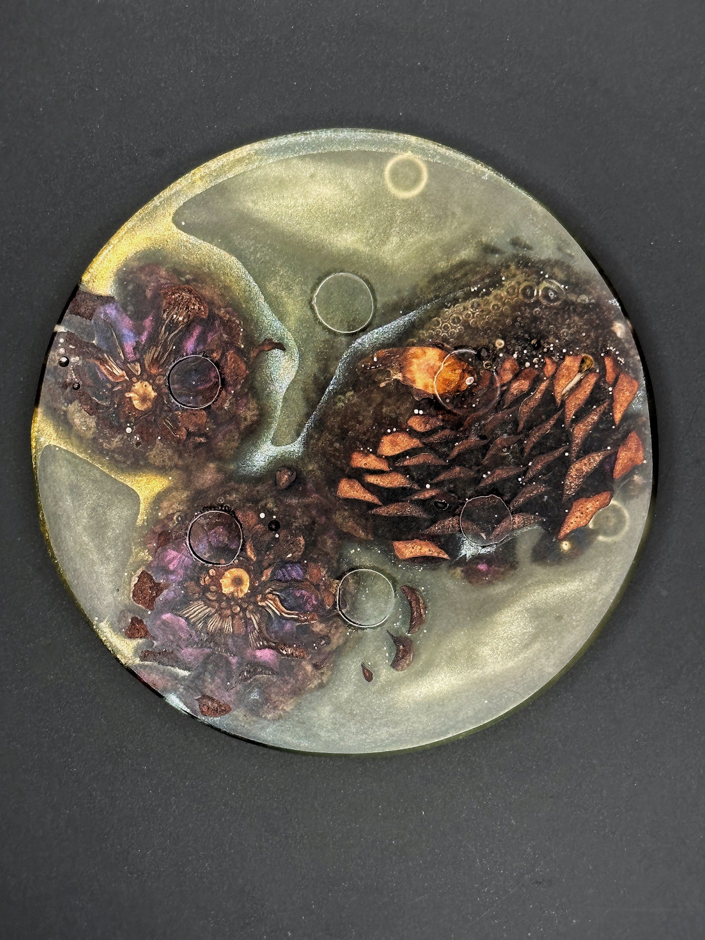 4 Green Pinecone Non-stick, No-slip Coasters