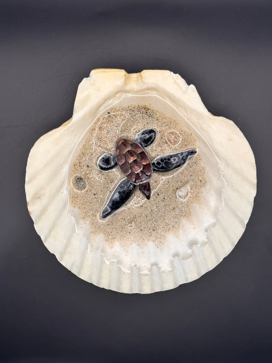 Sea Turtle in a Scalloped Shell