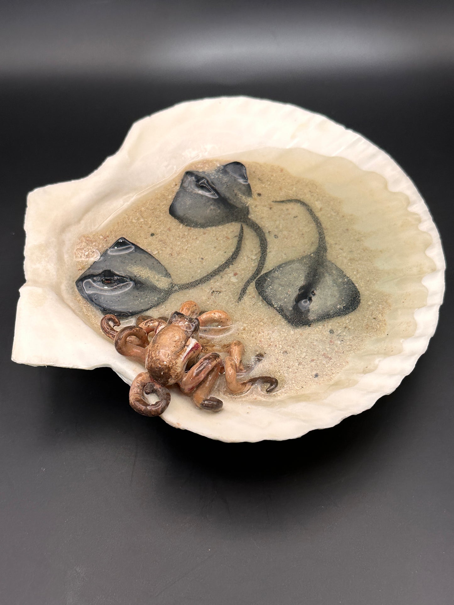 The Octopus and the Three Stingrays