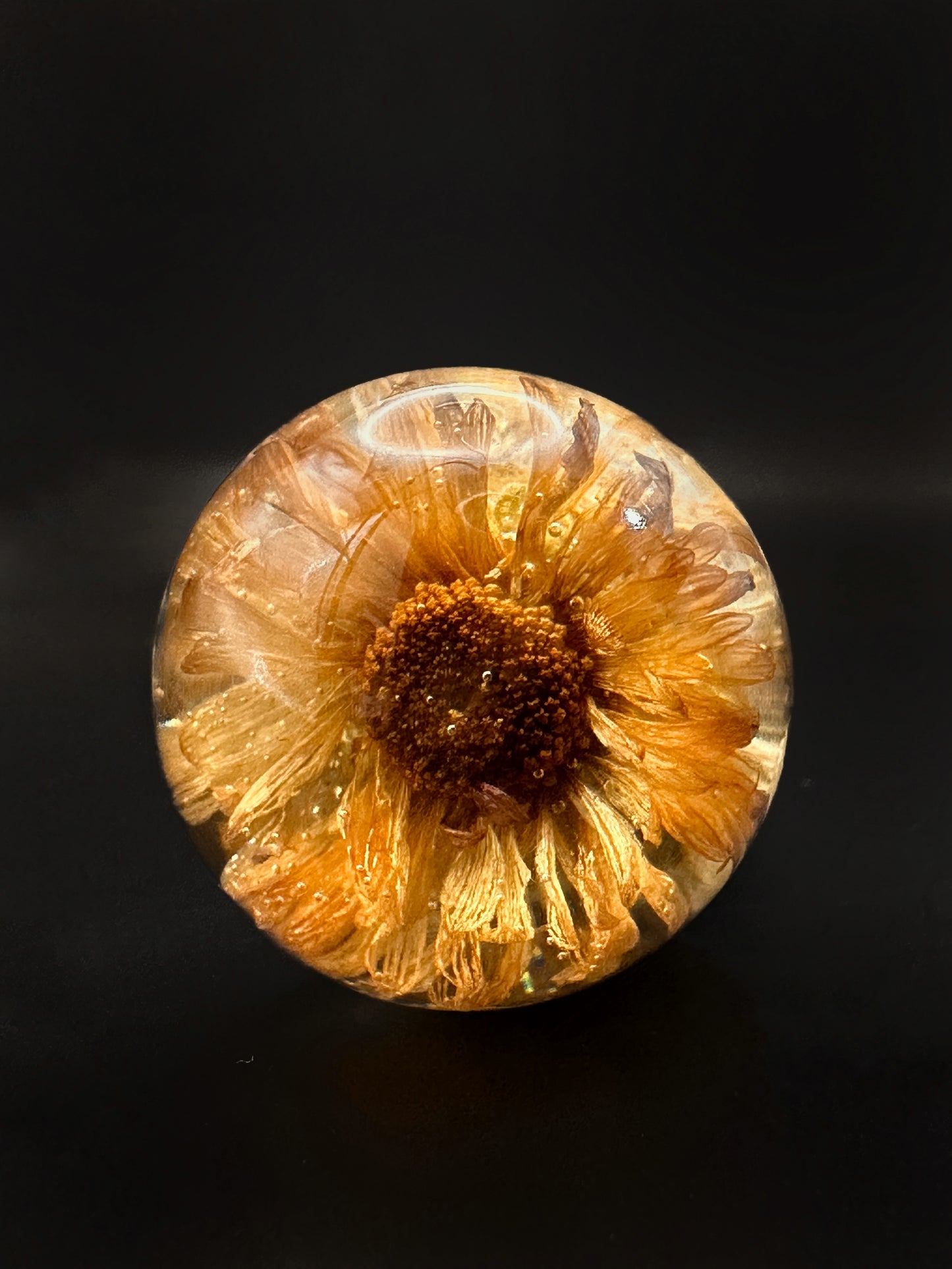 Small Real Flower Wine Stopper