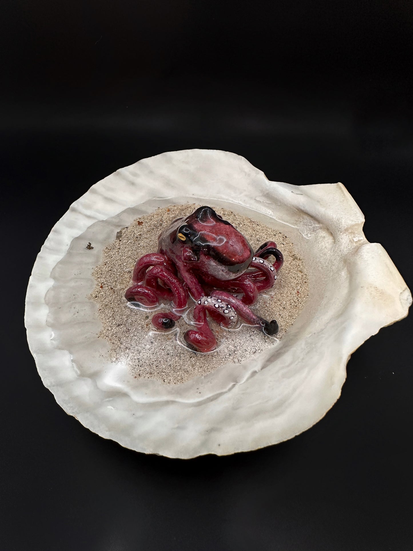 Octopus in a Scalloped Shell
