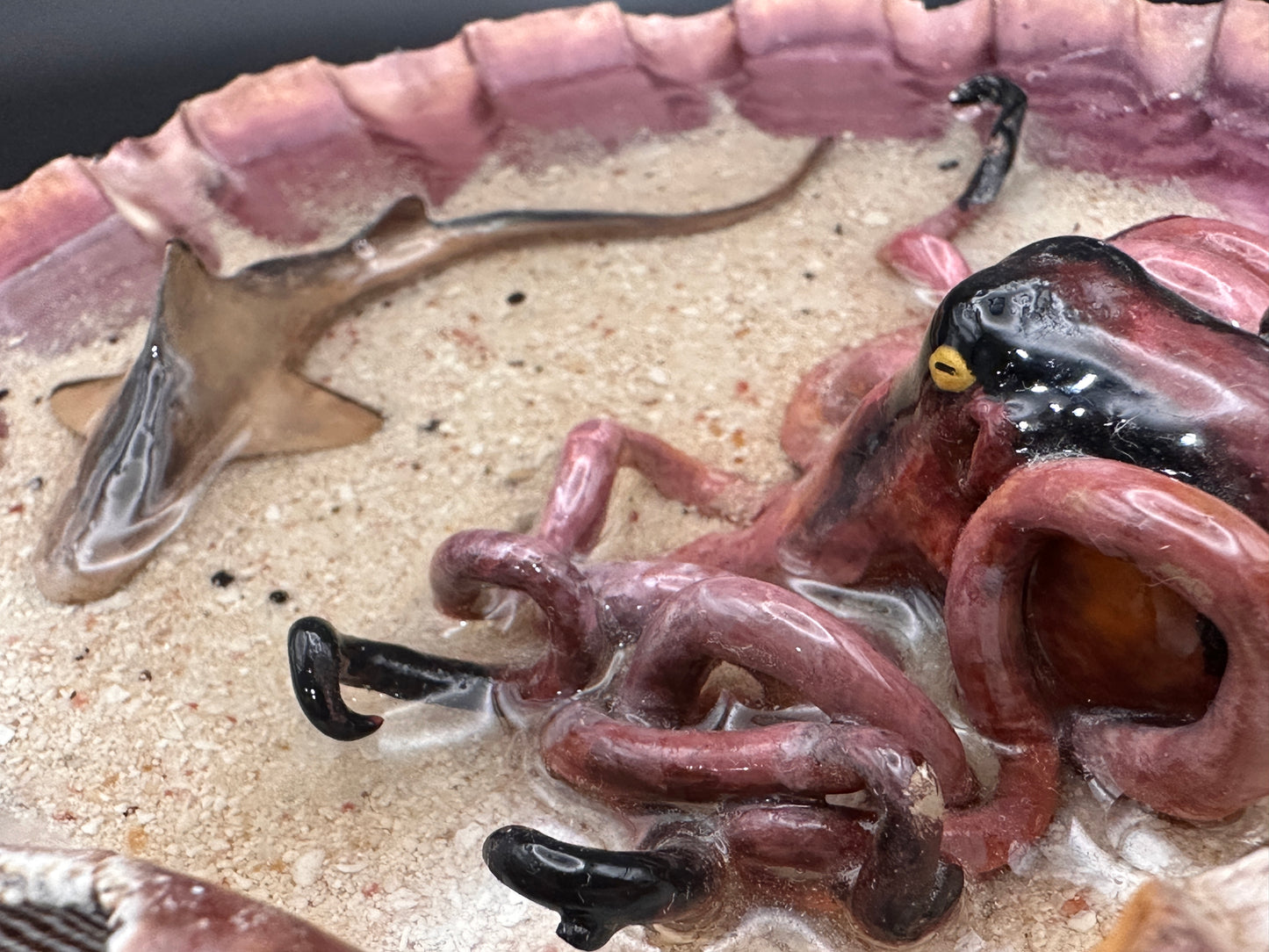 The Octopus and the Shark
