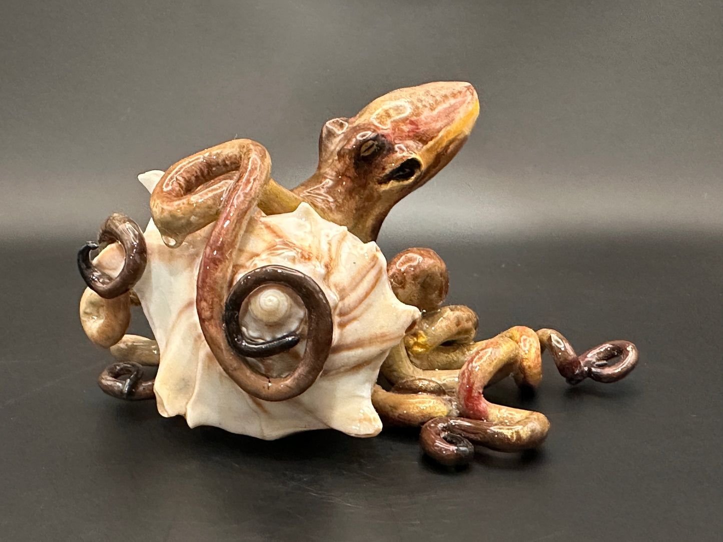 Octopus and the Shell