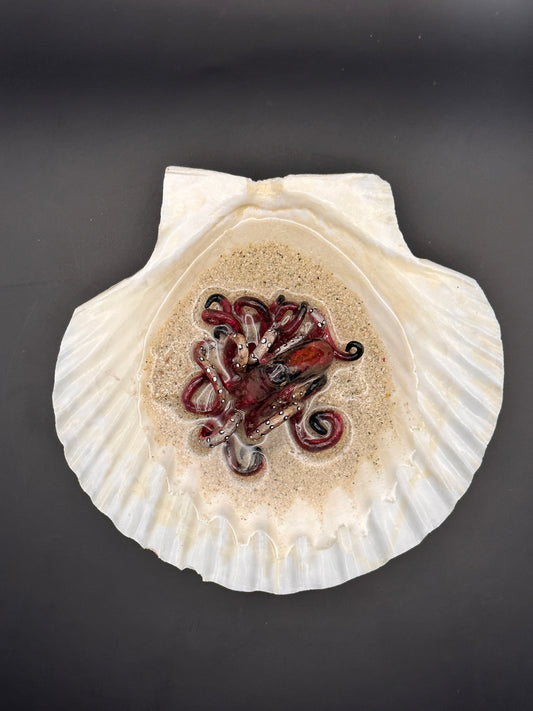 Octopus in the Scalloped Shell