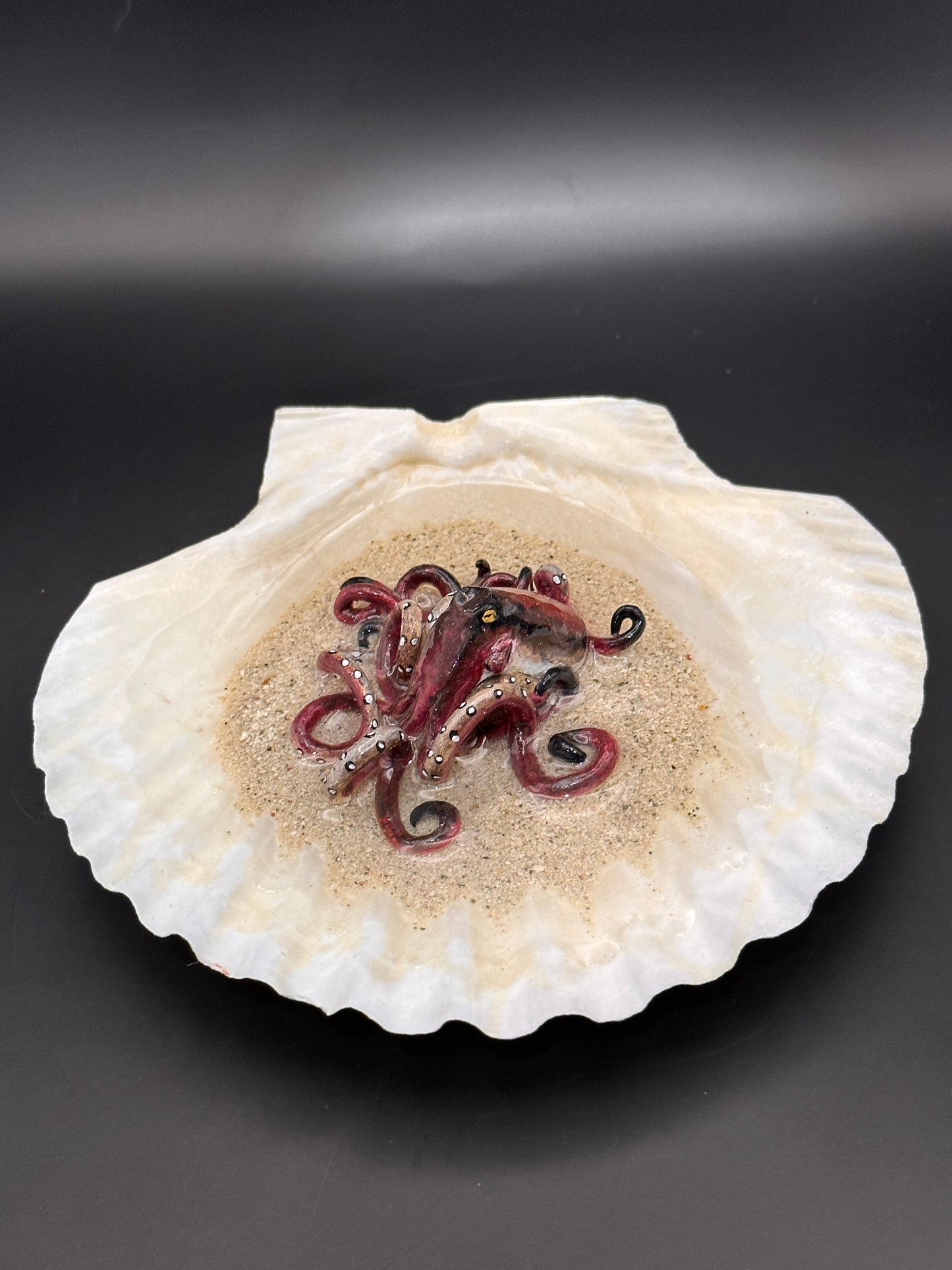 Octopus in the Scalloped Shell