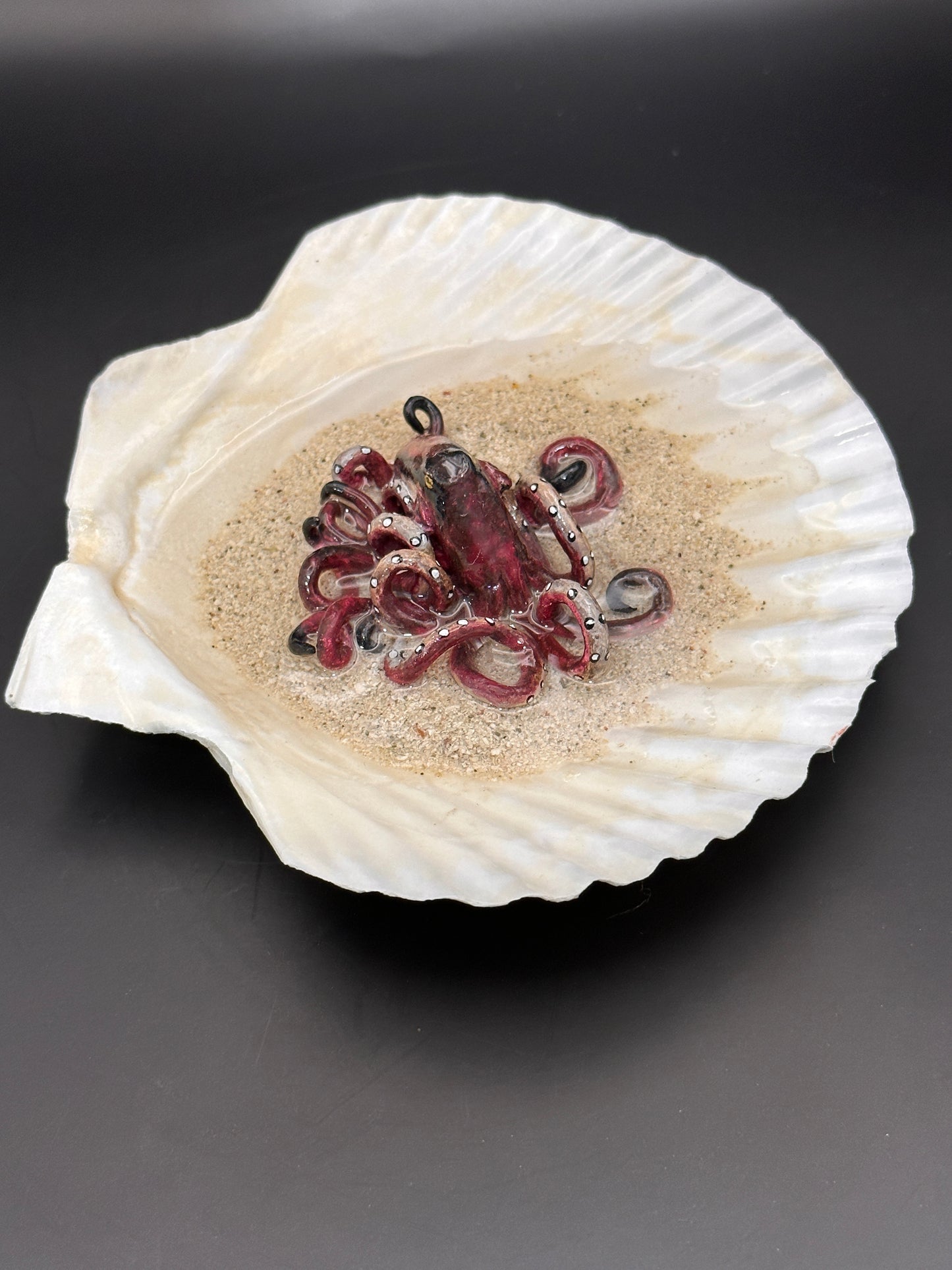 Octopus in the Scalloped Shell