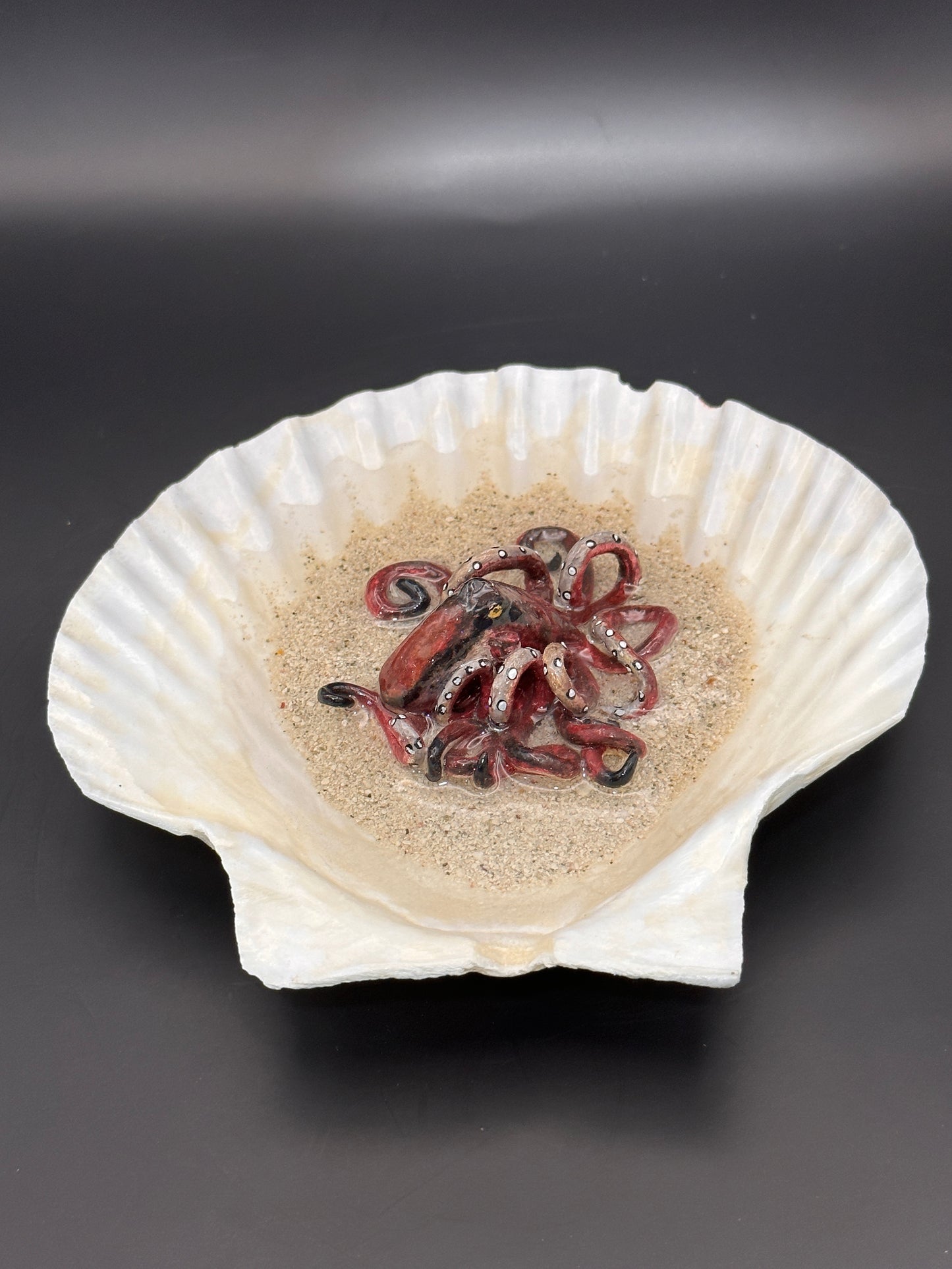 Octopus in the Scalloped Shell