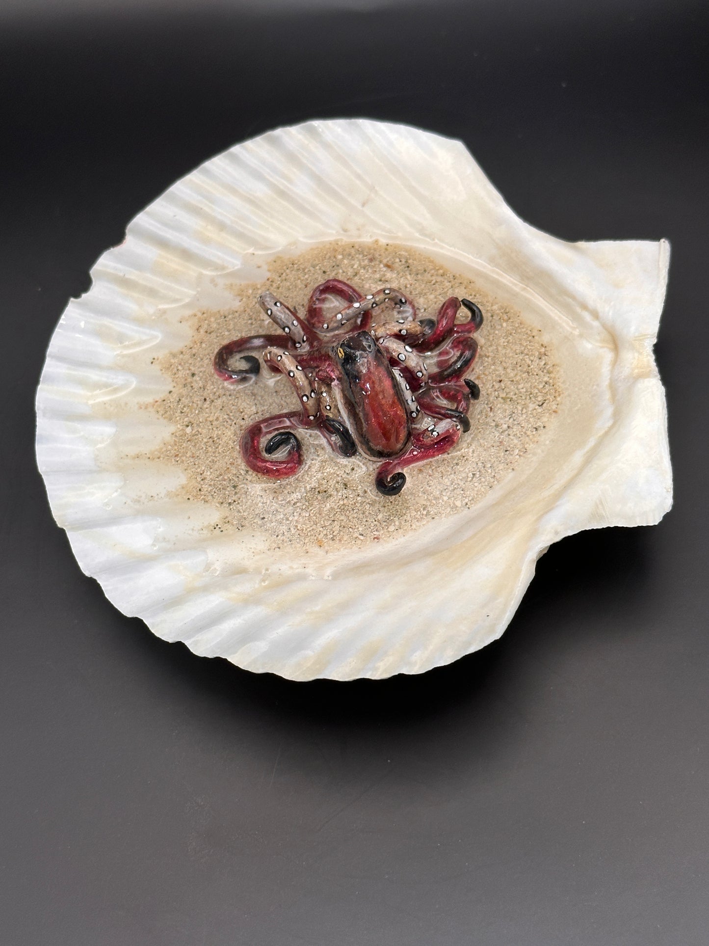 Octopus in the Scalloped Shell