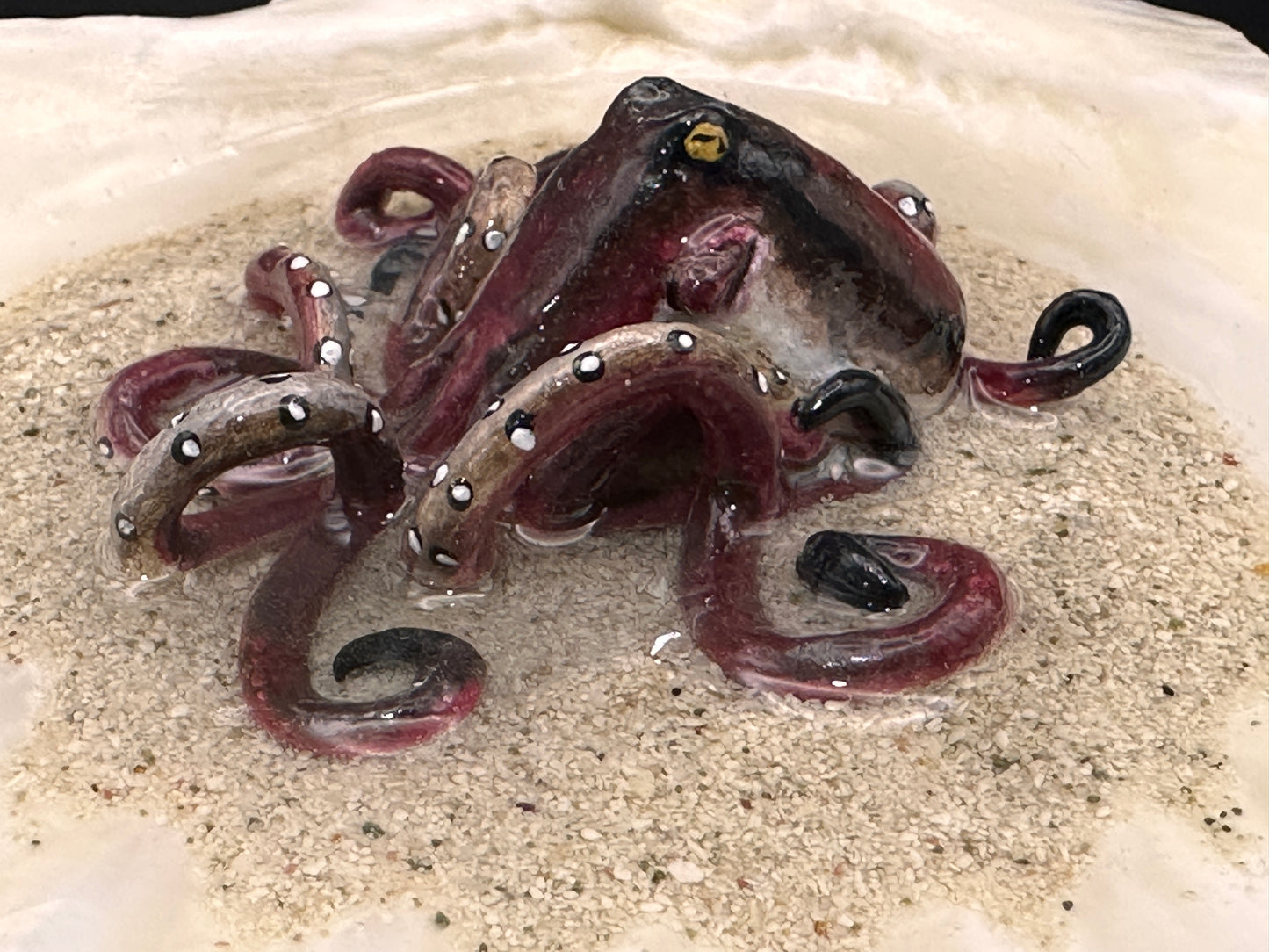 Octopus in the Scalloped Shell
