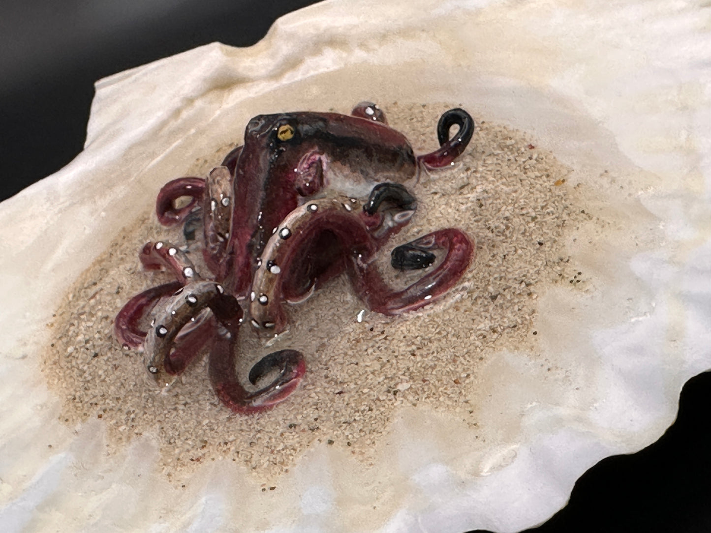 Octopus in the Scalloped Shell