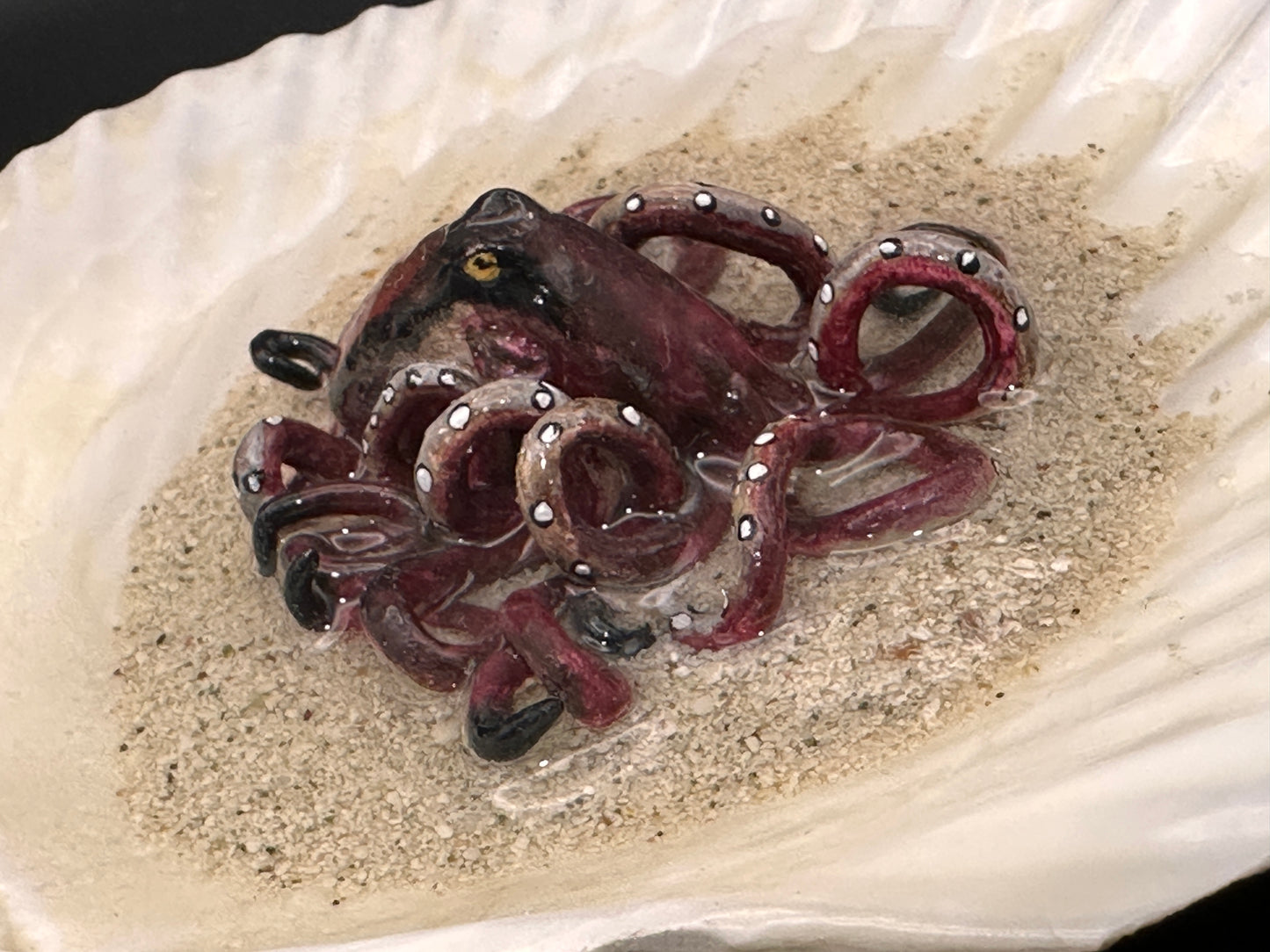 Octopus in the Scalloped Shell