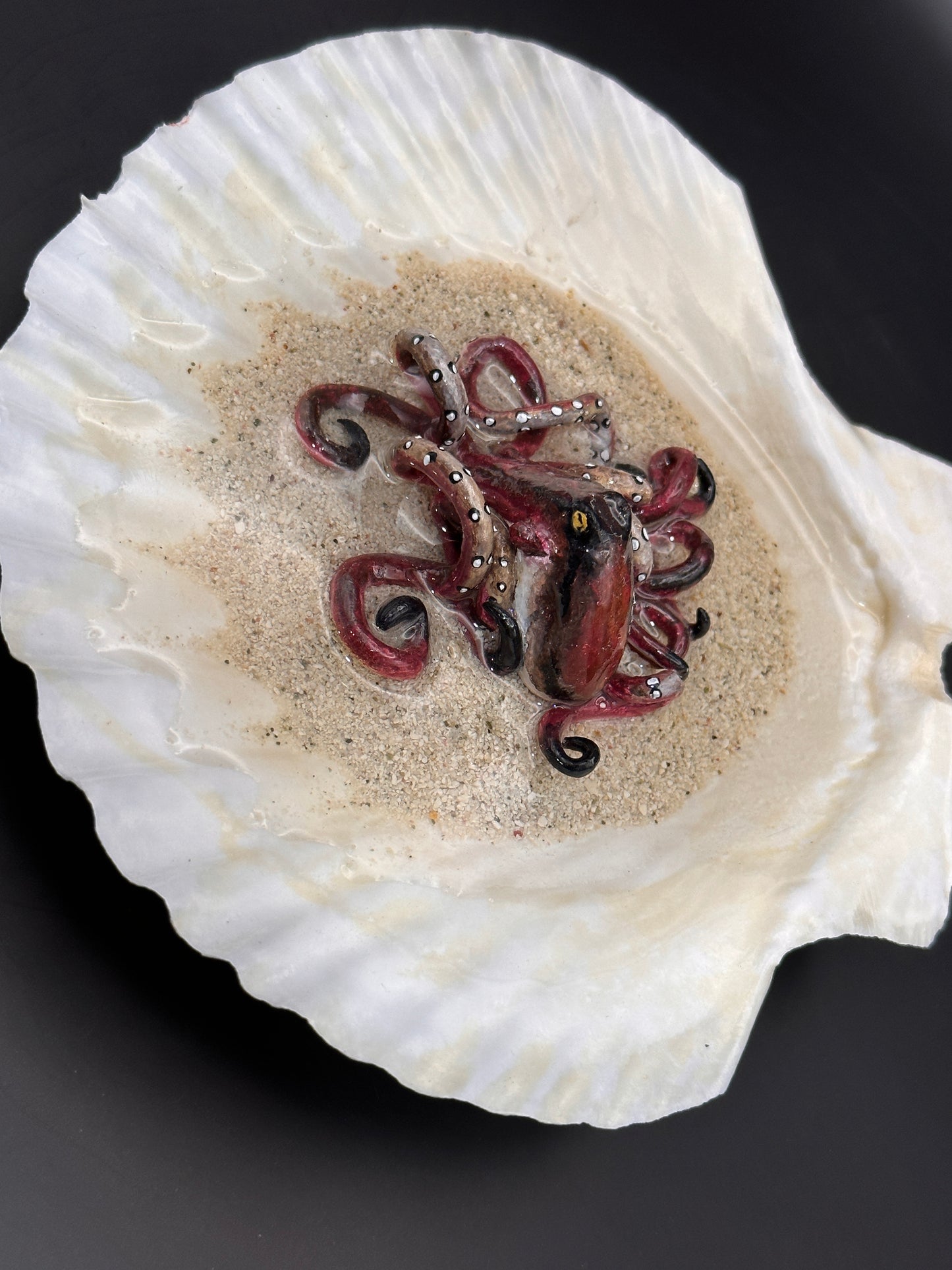 Octopus in the Scalloped Shell